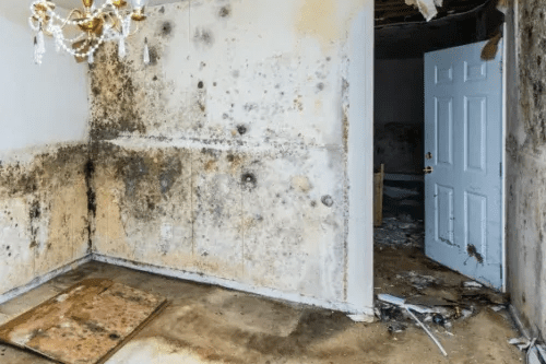 Home | DMV Mold | Mask Group