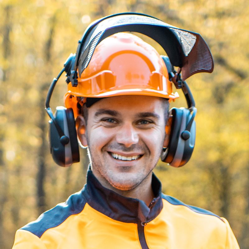 Images 26N9S5D | DMV Mold | Mold Inspection DMV Area