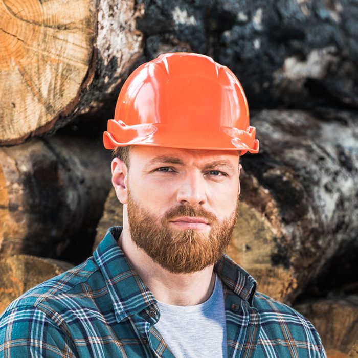 Images 9Ejhevs | DMV Mold | Mold Inspection DMV Area