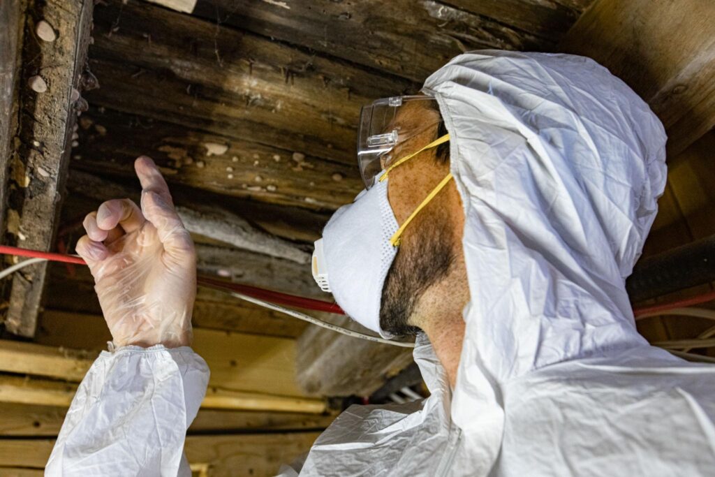 Hidden Mold in Your Home – Signs, Causes, and When to Schedule an Inspection