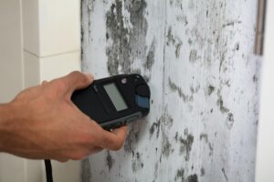 Basement Mold Problems – Causes, Warning Signs, and Prevention Tips | DMV Mold | Imgi