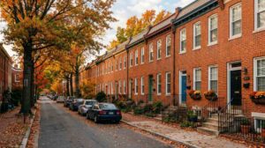 Mold in Arlington Row Homes: What Every Owner Should Know | DMV Mold | brick row homes with below-grade basements in Arlingt
